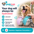 Leak-Proof Stainless Steel Dog Water Bottle
